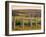 Vineyard, Margaret River, Western Australia, Australia-Doug Pearson-Framed Photographic Print