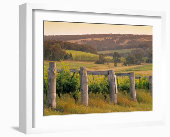Vineyard, Margaret River, Western Australia, Australia-Doug Pearson-Framed Photographic Print