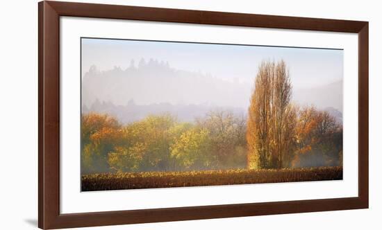 Vineyard Mist-Lance Kuehne-Framed Giclee Print