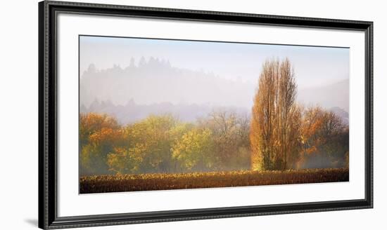 Vineyard Mist-Lance Kuehne-Framed Giclee Print