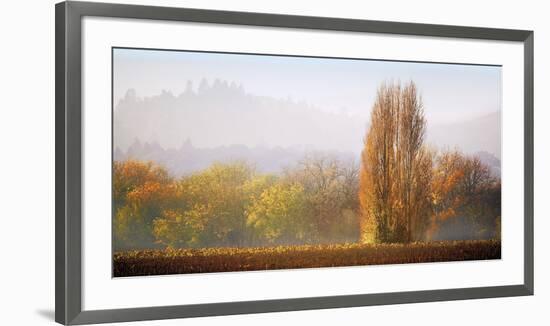 Vineyard Mist-Lance Kuehne-Framed Giclee Print