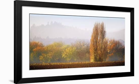 Vineyard Mist-Lance Kuehne-Framed Giclee Print