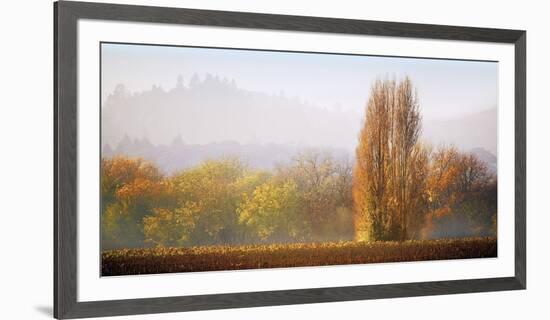 Vineyard Mist-Lance Kuehne-Framed Giclee Print