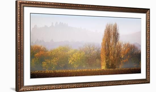 Vineyard Mist-Lance Kuehne-Framed Giclee Print