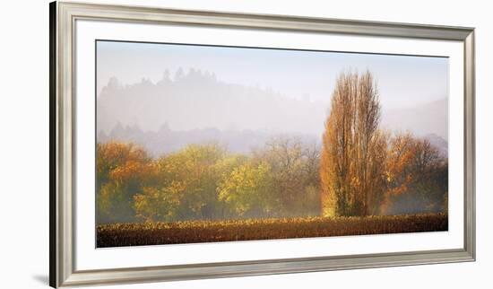 Vineyard Mist-Lance Kuehne-Framed Giclee Print