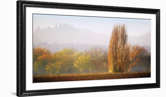 Vineyard Mist-Lance Kuehne-Framed Giclee Print