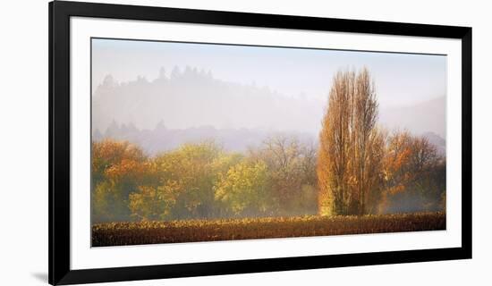 Vineyard Mist-Lance Kuehne-Framed Giclee Print