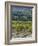 Vineyard, Montefalco, Italy-Rob Tilley-Framed Photographic Print