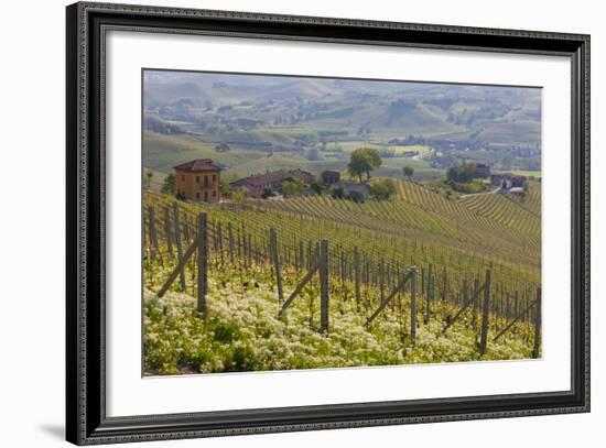 Vineyard Near Barolo, Piedmont, Italy-Peter Adams-Framed Photographic Print