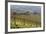 Vineyard Near Barolo, Piedmont, Italy-Peter Adams-Framed Photographic Print