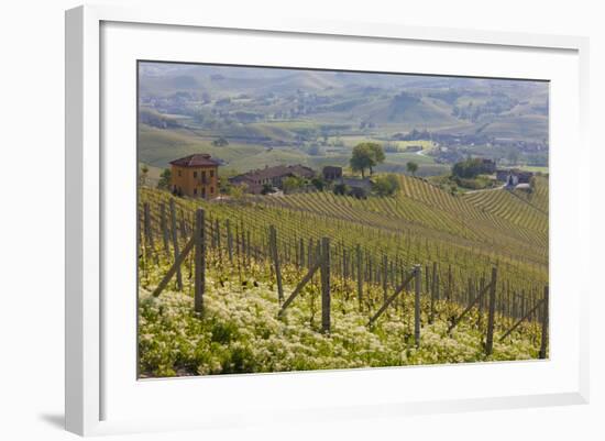Vineyard Near Barolo, Piedmont, Italy-Peter Adams-Framed Photographic Print