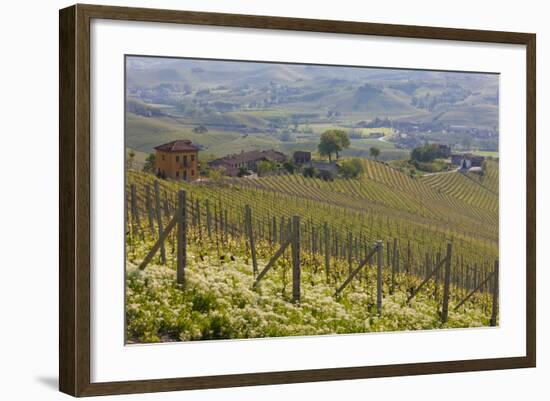 Vineyard Near Barolo, Piedmont, Italy-Peter Adams-Framed Photographic Print