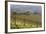 Vineyard Near Barolo, Piedmont, Italy-Peter Adams-Framed Photographic Print