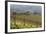 Vineyard Near Barolo, Piedmont, Italy-Peter Adams-Framed Photographic Print