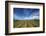 Vineyard Near Blenheim, Marlborough, South Island, New Zealand-David Wall-Framed Photographic Print