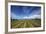 Vineyard Near Blenheim, Marlborough, South Island, New Zealand-David Wall-Framed Photographic Print