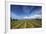 Vineyard Near Blenheim, Marlborough, South Island, New Zealand-David Wall-Framed Photographic Print