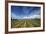 Vineyard Near Blenheim, Marlborough, South Island, New Zealand-David Wall-Framed Photographic Print