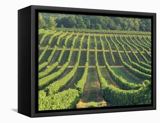 Vineyard Near Monbazillac, Dordogne, Aquitaine, France-Michael Busselle-Framed Premier Image Canvas