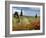 Vineyard Near Montalcino, Tuscany, Italy-Adam Jones-Framed Photographic Print