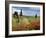 Vineyard Near Montalcino, Tuscany, Italy-Adam Jones-Framed Photographic Print