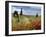 Vineyard Near Montalcino, Tuscany, Italy-Adam Jones-Framed Photographic Print