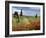 Vineyard Near Montalcino, Tuscany, Italy-Adam Jones-Framed Photographic Print