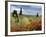 Vineyard Near Montalcino, Tuscany, Italy-Adam Jones-Framed Photographic Print