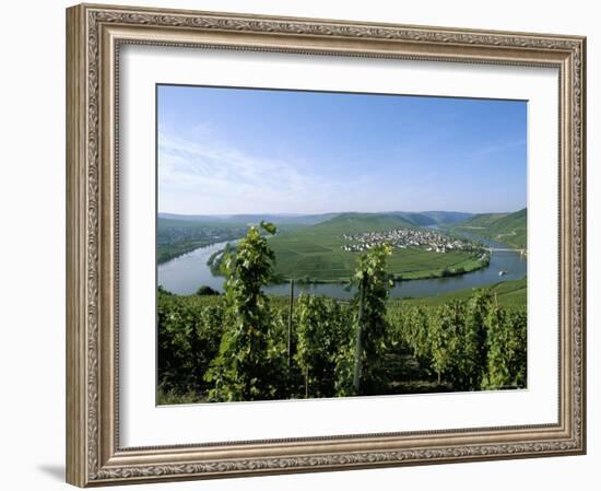 Vineyard Near Trittenheim, Mosel Valley, Rheinland-Pfalz (Rhineland-Palatinate), Germany-Hans Peter Merten-Framed Photographic Print