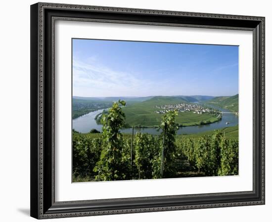 Vineyard Near Trittenheim, Mosel Valley, Rheinland-Pfalz (Rhineland-Palatinate), Germany-Hans Peter Merten-Framed Photographic Print