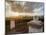 Vineyard of Bodega Viamonte, sunset, Lujan de Cuyo, Mendoza Province, Argentina, South America-Karol Kozlowski-Mounted Photographic Print