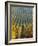 Vineyard of Oremus Winery, Tolcsva, Hungary-Herbert Lehmann-Framed Photographic Print