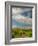 Vineyard of Walla Walla Vintners, Walla Walla, Washington, USA-Richard Duval-Framed Photographic Print