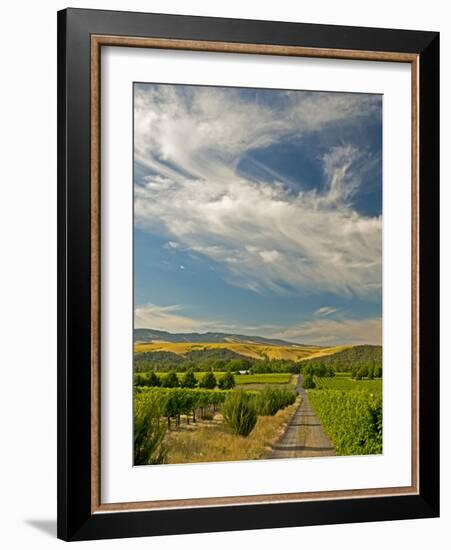 Vineyard of Walla Walla Vintners, Walla Walla, Washington, USA-Richard Duval-Framed Photographic Print