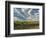 Vineyard of Walla Walla Vintners, Walla Walla, Washington, USA-Richard Duval-Framed Photographic Print