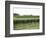 Vineyard of Winery, the Hamptons, Long Island, New York, United States of America, North America-Wendy Connett-Framed Photographic Print