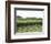 Vineyard of Winery, the Hamptons, Long Island, New York, United States of America, North America-Wendy Connett-Framed Photographic Print