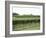 Vineyard of Winery, the Hamptons, Long Island, New York, United States of America, North America-Wendy Connett-Framed Photographic Print