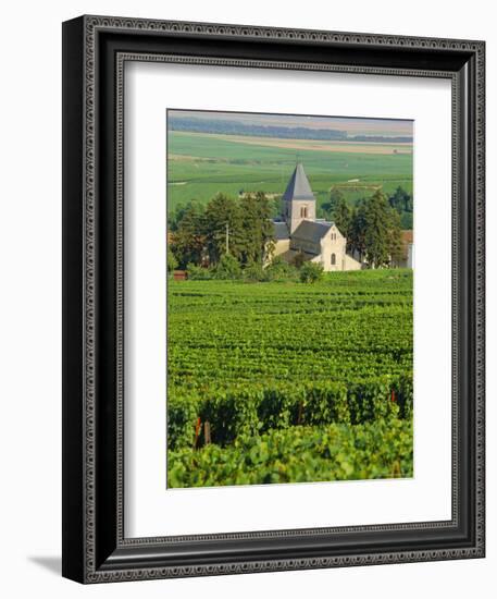 Vineyard, Oger, Champagne, France, Europe-John Miller-Framed Photographic Print