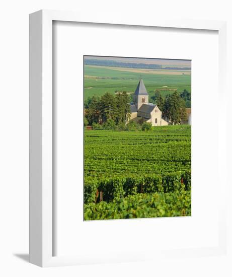 Vineyard, Oger, Champagne, France, Europe-John Miller-Framed Photographic Print