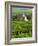 Vineyard, Oger, Champagne, France, Europe-John Miller-Framed Photographic Print