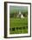 Vineyard, Oger, Champagne, France, Europe-John Miller-Framed Photographic Print