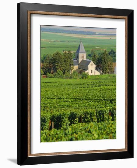 Vineyard, Oger, Champagne, France, Europe-John Miller-Framed Photographic Print