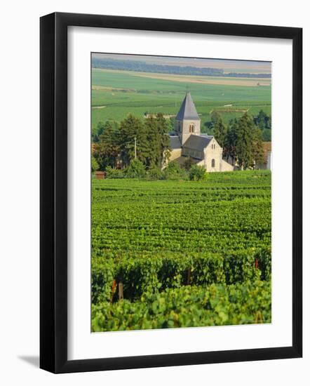 Vineyard, Oger, Champagne, France, Europe-John Miller-Framed Photographic Print