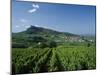 Vineyard on a Landscape with a Village in the Background, Roche De Solutre, Solutre Pouilly-null-Mounted Photographic Print