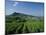 Vineyard on a Landscape with a Village in the Background, Roche De Solutre, Solutre Pouilly-null-Mounted Photographic Print