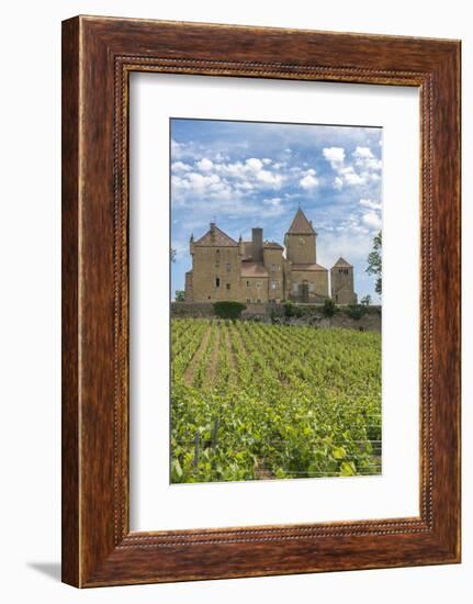 Vineyard, Pierreclos, Maconnaise, Burgundy, France-Jim Engelbrecht-Framed Photographic Print