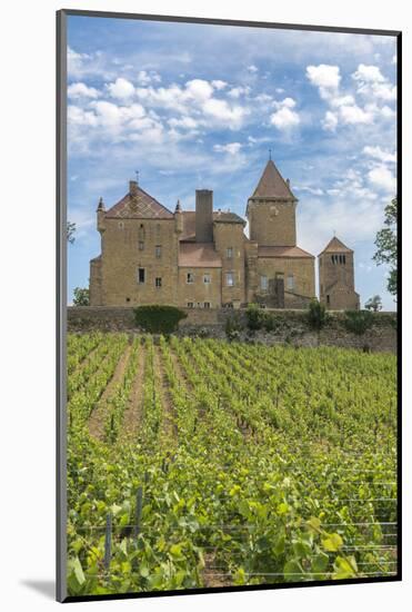 Vineyard, Pierreclos, Maconnaise, Burgundy, France-Jim Engelbrecht-Mounted Photographic Print