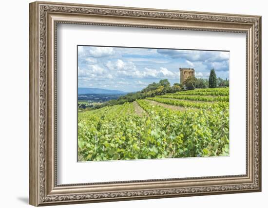 Vineyard, Rhone Valley, Ruins of castle, Chateauneuf du Pape, France-Jim Engelbrecht-Framed Photographic Print