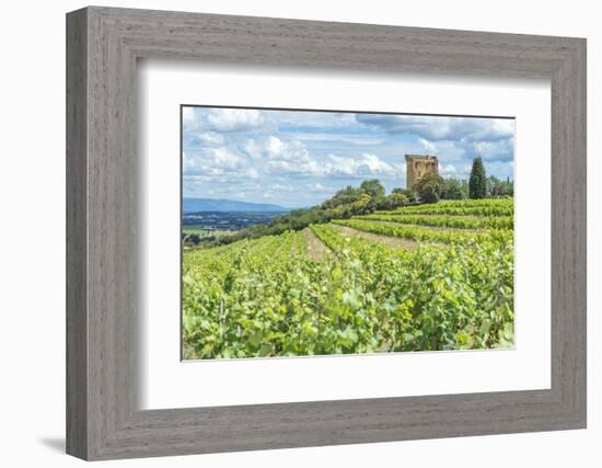 Vineyard, Rhone Valley, Ruins of castle, Chateauneuf du Pape, France-Jim Engelbrecht-Framed Photographic Print